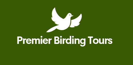 Premier Birding Tours